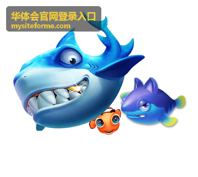 华体会官网登录入口邮件支持与问题反馈