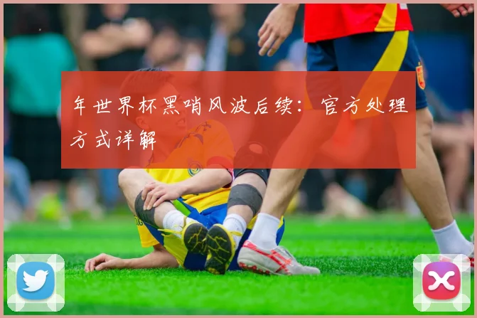 年世界杯黑哨风波后续：官方处理方式详解