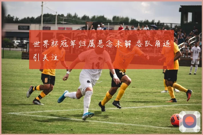 世界杯冠军归属悬念未解 各队角逐引关注