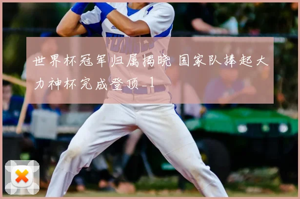 世界杯冠军归属揭晓 国家队捧起大力神杯完成登顶_1